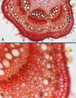 https://www.journalssystem.com/agb/f/fulltexts/167477/Figure_3_min.jpg