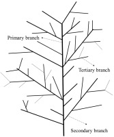 https://www.journalssystem.com/agb/f/fulltexts/168236/Figure_1_min.jpg