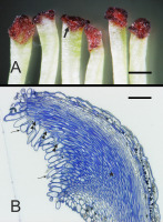 https://www.journalssystem.com/agb/f/fulltexts/169344/Figure_2_min.jpg