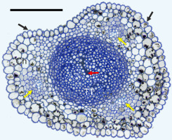 https://www.journalssystem.com/agb/f/fulltexts/169344/Figure_7_min.jpg