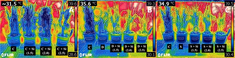 https://www.journalssystem.com/agb/f/fulltexts/172075/Figure_1_min.jpg