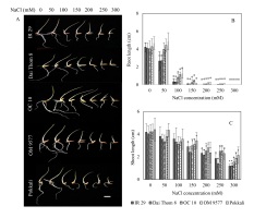 https://www.journalssystem.com/agb/f/fulltexts/172513/Figure_1_min.jpg