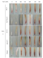 https://www.journalssystem.com/agb/f/fulltexts/172513/Figure_2a_min.jpg