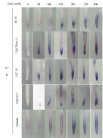 https://www.journalssystem.com/agb/f/fulltexts/172513/Figure_2b_min.jpg