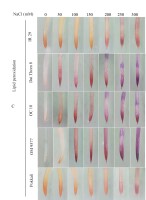 https://www.journalssystem.com/agb/f/fulltexts/172513/Figure_2c_min.jpg