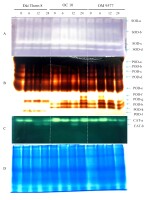 https://www.journalssystem.com/agb/f/fulltexts/172513/Figure_4_min.jpg