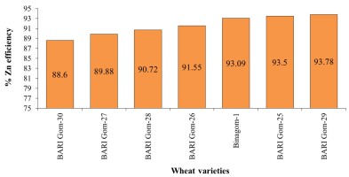 https://www.journalssystem.com/agb/f/fulltexts/173425/Figure_2_min.jpg
