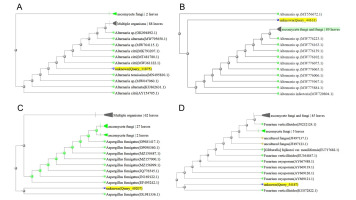 https://www.journalssystem.com/agb/f/fulltexts/182943/Figure_1a-d_min.jpg