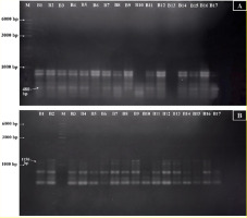 https://www.journalssystem.com/agb/f/fulltexts/185311/Figure_2_min.jpg