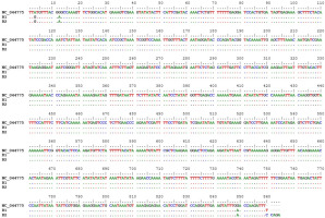https://www.journalssystem.com/agb/f/fulltexts/185311/Figure_4_min.jpg
