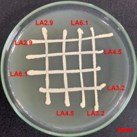 https://www.journalssystem.com/agb/f/fulltexts/187896/Figure_4_min.jpg