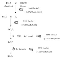 https://www.journalssystem.com/agb/f/fulltexts/188569/Figure_1_min.jpg
