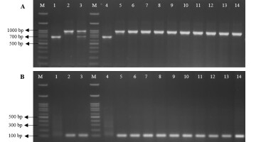 https://www.journalssystem.com/agb/f/fulltexts/188569/Figure_2_min.jpg