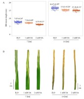 https://www.journalssystem.com/agb/f/fulltexts/188569/Figure_4_min.jpg