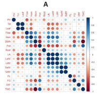 https://www.journalssystem.com/agb/f/fulltexts/190216/Figure_1A_min.jpg
