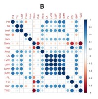 https://www.journalssystem.com/agb/f/fulltexts/190216/Figure_1B_min.jpg