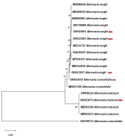 https://www.journalssystem.com/agb/f/fulltexts/190222/Figure_8_min.jpg