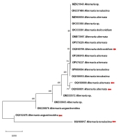 https://www.journalssystem.com/agb/f/fulltexts/190222/Figure_9_min.jpg
