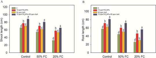 https://www.journalssystem.com/agb/f/fulltexts/199695/Figure_2_min.jpg