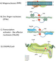 https://www.journalssystem.com/agb/f/fulltexts/201389/Figure_2_min.jpg