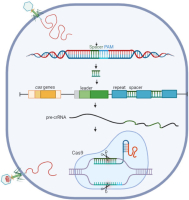 https://www.journalssystem.com/agb/f/fulltexts/201389/Figure_3_min.jpg