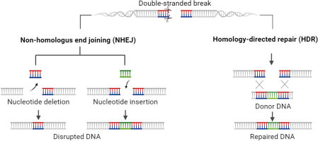 https://www.journalssystem.com/agb/f/fulltexts/201389/Figure_4_min.jpg