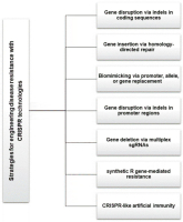 https://www.journalssystem.com/agb/f/fulltexts/201389/Figure_5_min.jpg