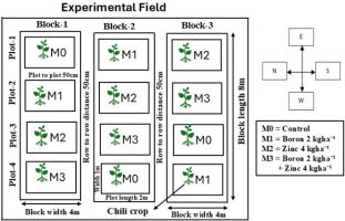 https://www.journalssystem.com/agb/f/fulltexts/203377/Figure_1_min.jpg