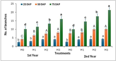 https://www.journalssystem.com/agb/f/fulltexts/203377/Figure_3_min.jpg