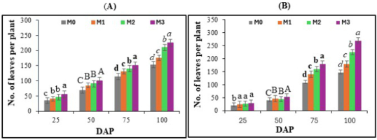 https://www.journalssystem.com/agb/f/fulltexts/203377/Figure_4_min.jpg