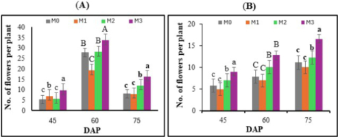 https://www.journalssystem.com/agb/f/fulltexts/203377/Figure_5_min.jpg
