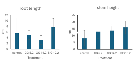 Mean average root length and stem height of chili.