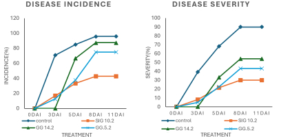 Disease incidence and severity of P. capsici in chili plants.
