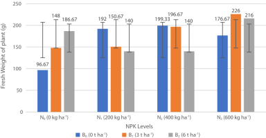 Effects of varying NPK (N) fertilizer and Biochar (B) application rates on the fresh weight of zucchini plant.