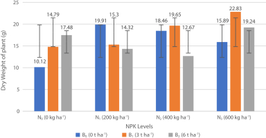 Effects of varying NPK (N) fertilizer and Biochar (B) application rates on the dry weight of zucchini plant.