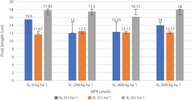 Effects of varying NPK (N) fertilizer and Biochar (B) application rates on the fruit length of zucchini.