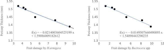 Figure 1 illustrates the correlation between chili fruit pericarp thickness and pest infestations. Figure 1A shows the relationship with Helicoverpa armigera infestation, while Figure 1B shows the relationship with Bactrocera spp. infestation. The figure indicates that as pericarp thickness increases, pest infestation levels decrease.