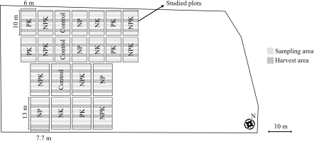 Scheme of the current experimental design. Two sections of the trial coexist on the experimental site. The first section consisted of two sets of seven plots, each measuring 6 × 10 m, further subdivided into five microplots each measuring 6 × 2 m. The second section included eight plots measuring 13 × 7.7 m, divided into six microplots each measuring 7.7 × 2 m, with three designed for harvest and three for sampling. Individual plots are subjected to different fertilization treatments: NK, NP, NPK, PK, and Control. The experimental trial covers a 0.14 ha area and is cultivated uniformly with winter wheat.