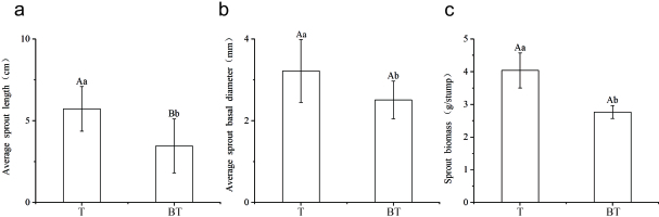 A panel of three bar charts (a, b, and c) comparing the effects of wound management on budding regeneration in Cinnamomum camphora stumps. The charts show the average sprout length (a), average sprout basal diameter (b), and sprout biomass (c) between the treatment group applied with a wound healing agent (T) and the untreated natural healing group (BT). The visual trends indicate that the T group has significantly higher values across all three growth parameters compared to the BT group.