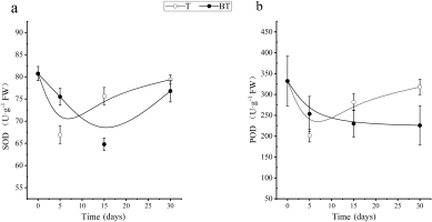 A panel of two line graphs (a and b) illustrating the changes in root antioxidant enzyme activities over a 30-day period post-harvesting. Graph (a) shows Superoxide Dismutase (SOD) activity, and graph (b) shows Peroxidase (POD) activity. The x-axis represents time in days (0, 5, 15, and 30), and the y-axis represents enzyme activity. The lines compare the T group (with wound healing agent) and the BT group (without agent), showing that both groups experienced an initial decrease in enzyme activity, but the T group recovered faster and reached higher activity levels by day 30.