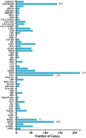 A bar chart showing the transcription factor (TF) annotation for the identified genes. The x-axis represents the number of genes, and the y-axis lists various TF families. It visually highlights that the MYB family contains the highest number of annotated genes, followed by the AP2-EREBP, NAC, bHLH, and WRKY families.