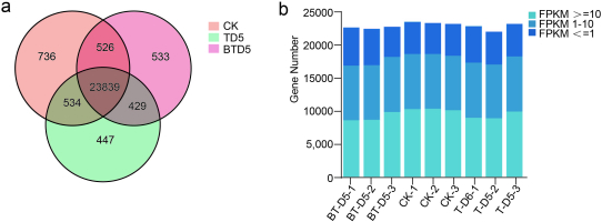 Charts displaying the distribution of gene expression abundance (FPKM) among the samples. It compares the proportion of genes classified into low, medium, and high expression intervals across the control (CK) and the two treatment groups (BT-D5 and T-D5).