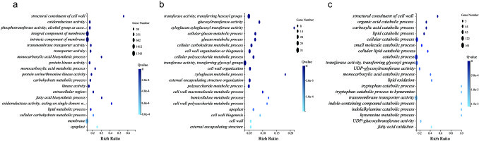 A series of bar charts depicting the Gene Ontology (GO) functional enrichment analysis of differentially expressed genes (DEGs). The charts compare enriched functional categories (such as membrane components, catabolic processes, and transferase activity) across three comparison groups: CK-vs.-BT-D5, CK-vs.-T-D5, and T-D5-vs.-BT-D5.