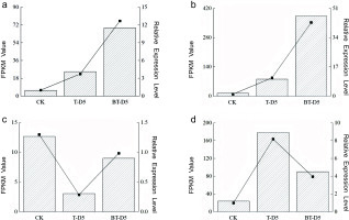 A panel of four bar charts (a, b, c, and d) presenting the quantitative real-time PCR (qRT-PCR) validation results for relative gene expression. The x-axis represents the three treatment groups (CK, BT, and T), and the y-axis shows the relative expression level. Charts (a) and (b) correspond to genes Maker00007883 and Maker00025064 in the plant hormone signaling pathway, while charts (c) and (d) correspond to genes Maker00005324 and Maker00013322 in the plant MAPK signaling pathway. All four charts display a consistent trend: the gene expression is lowest in the CK group, higher in the BT group, and highest in the T group.