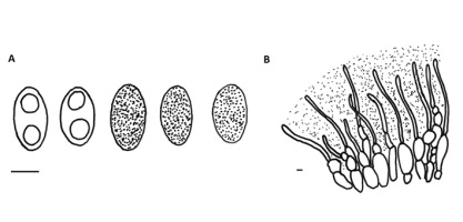 https://www.journalssystem.com/amy/f/fulltexts/159740/Figure_3_min.jpg