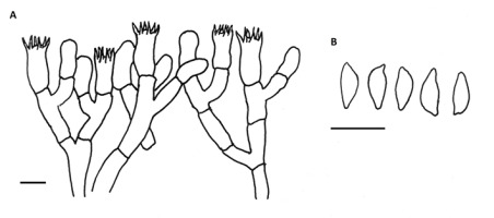 https://www.journalssystem.com/amy/f/fulltexts/159740/Figure_6_min.jpg