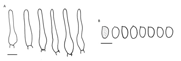 https://www.journalssystem.com/amy/f/fulltexts/159740/Figure_7_min.jpg