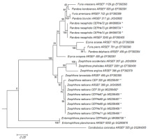 https://www.journalssystem.com/amy/f/fulltexts/159743/Figure_3_min.jpg