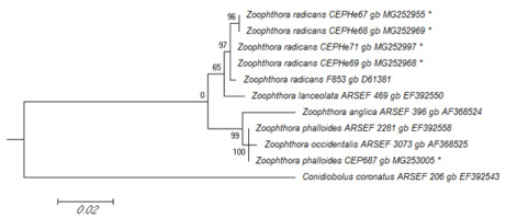 https://www.journalssystem.com/amy/f/fulltexts/159743/Figure_4_min.jpg