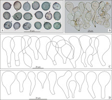 https://www.journalssystem.com/amy/f/fulltexts/159744/Figure_2_min.jpg